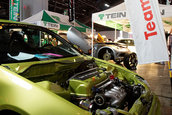 Hot Import Nights - Orlando