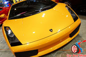 Hot Import Nights - Orlando