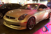 Hot Import Nights - Orlando