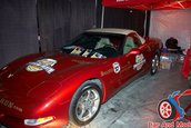 Hot Import Nights - Orlando
