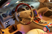 Hot Import Nights - Orlando