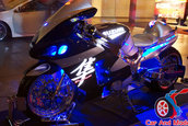 Hot Import Nights - Orlando
