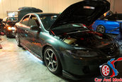 Hot Import Nights - Orlando