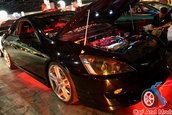 Hot Import Nights - Orlando