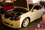 Hot Import Nights - Orlando