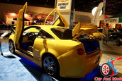 Hot Import Nights - Orlando