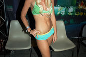 Hot Import Nights - Orlando