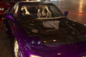 Hot Import Nights - Orlando