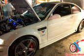 Hot Import Nights - Orlando