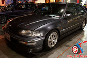 Hot Import Nights - Orlando