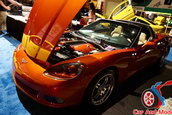 Hot Import Nights - Orlando