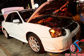 Hot Import Nights - Orlando