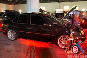 Hot Import Nights - Orlando
