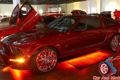 Hot Import Nights - Orlando