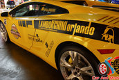 Hot Import Nights - Orlando