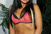Hot Import Nights - Orlando