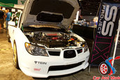 Hot Import Nights - Orlando