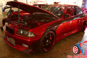 Hot Import Nights - Orlando