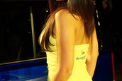 Hot Import Nights - Orlando