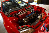 Hot Import Nights - Orlando