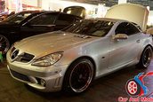 Hot Import Nights - Orlando