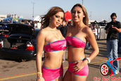 Hot Import Nights - SanFrancisco