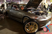 Hot Import Nights - Washington DC 2006