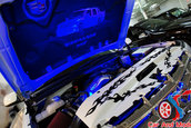 Hot Import Nights - Washington DC 2006