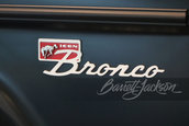 Icon Bronco de vanzare