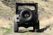 Icon CJ3B