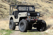 Icon CJ3B