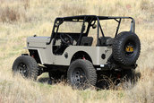 Icon CJ3B