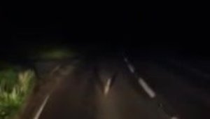 Iepurele pe baterii chiar exista! Alearga odata cu masina si nu vrea sa iasa de pe sosea