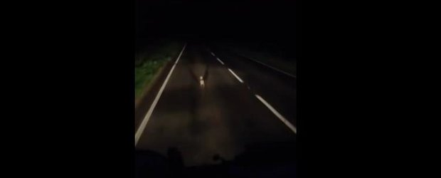 Iepurele pe baterii chiar exista! Alearga odata cu masina si nu vrea sa iasa de pe sosea
