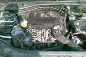if97wic