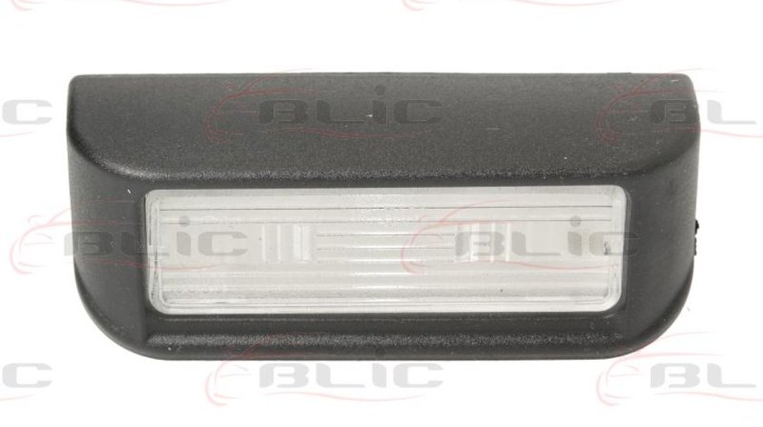 Iluminare numar de circulatie CITROËN JUMPY nadwozie pe³ne Producator BLIC 5402-009-31-900