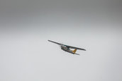Imagini BMWFlyDay