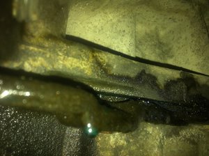 Imi picura antigel pe aici, e o problema mare ?