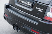 Imperiul are un nou cuceritor: Hamann Conqueror II