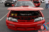 Import War 2006