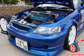 Import War 2006