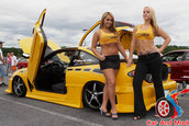 Import War 2006
