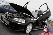 Import War 2006