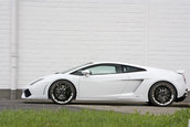 IMSA Lamborghini Gallardo LP560