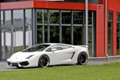 IMSA Lamborghini Gallardo LP560