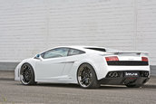 IMSA Lamborghini Gallardo LP560