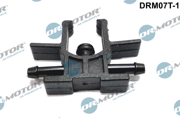 Inbinari, conducta (DRM07T1 DRM)