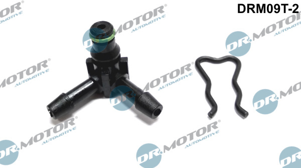 Inbinari, conducta (DRM09T2 DRM)