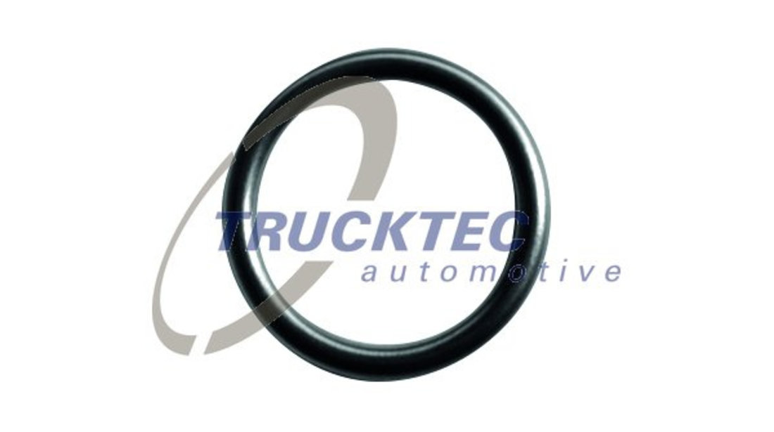 Inel de etansare (0110138 TRUCKTEC)