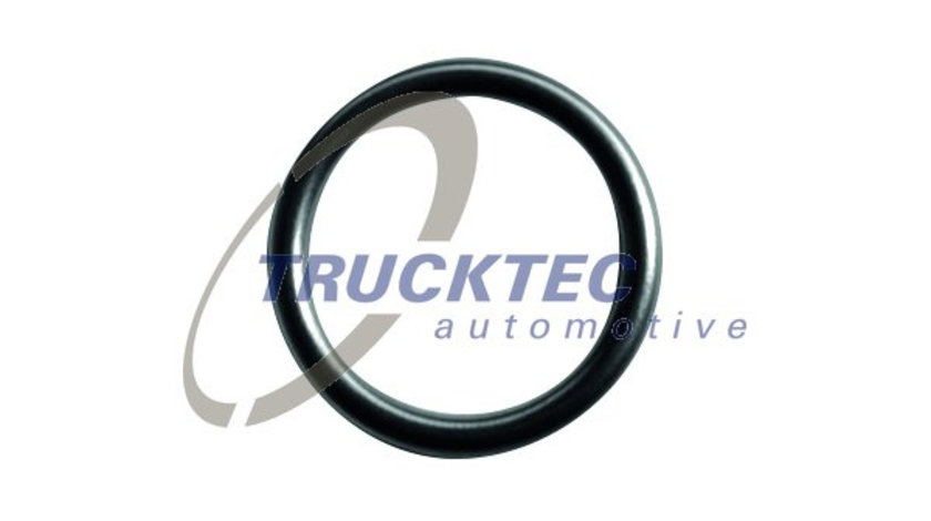 Inel de etansare (0110138 TRUCKTEC)